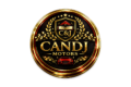 logo tipo profesyonel